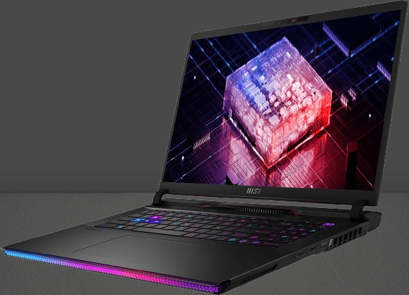 MSI Raider