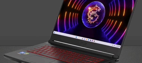 MSI Store