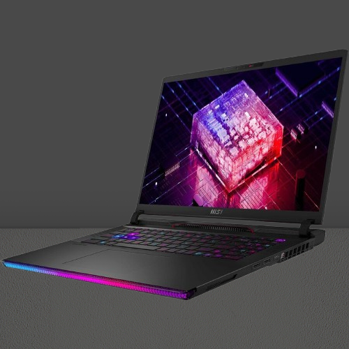 performa MSI Raider 